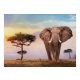 Afrikai naplemente 500 db-os puzzle - Clemetoni