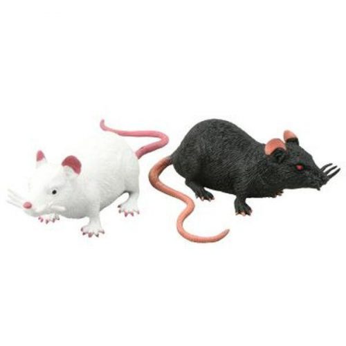 Streccs patkány - kétféle